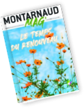 Montarnaud Mag Trimestriel n°10 - PDF - 2.6 Mo (nouvelle fenêtre)