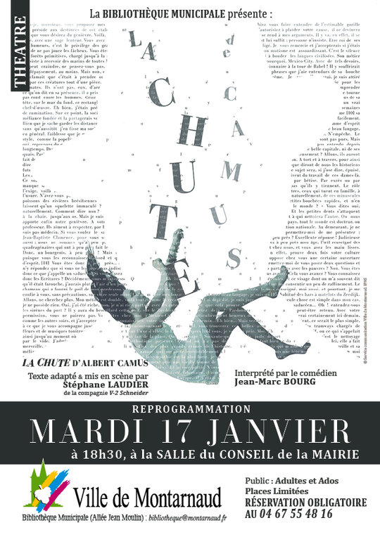 Affiche La Chute de Camus - JPEG - 345.8 ko