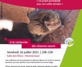 A la recherche des chauves-souris - JPEG - 238.9 ko