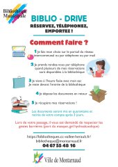 Bibliodrive : comment faire ? - JPEG - 2.7 Mo