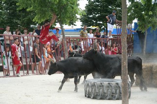 Fête Votive sur l'esplanade, Montarnaud - JPEG - 33.8 ko