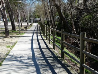 Allée de l'esplanade, le long de la Mosson - JPEG - 42.5 ko