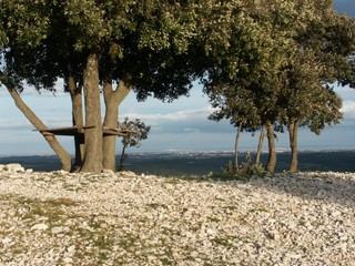 Vue depuis le bois de la Rouvière, au dessus de Montarnaud - JPEG - 43.8 ko