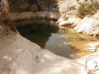 Les Marmites : cavités naturelles à découvrir lors d'une balade au dessus de la route qui mène à Vailhauquès - JPEG - 28.7 ko